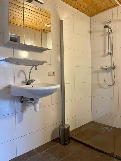Den Ham Unieke Houten Villa Met Sauna In Twente - 6P מראה חיצוני תמונה