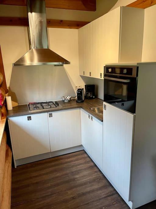 Den Ham Unieke Houten Villa Met Sauna In Twente - 6P מראה חיצוני תמונה