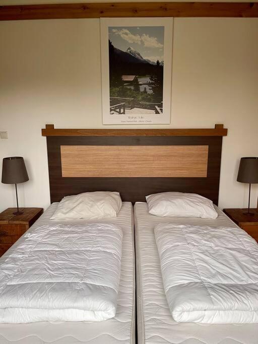 Den Ham Unieke Houten Villa Met Sauna In Twente - 6P מראה חיצוני תמונה