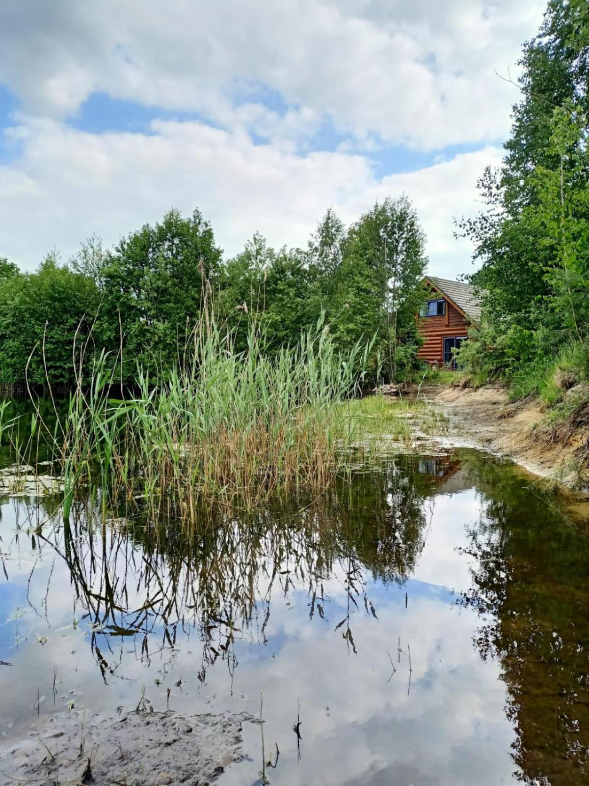 Den Ham Unieke Houten Villa Met Sauna In Twente - 6P מראה חיצוני תמונה